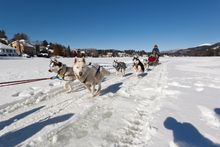 Dog sledding in Lake Placid