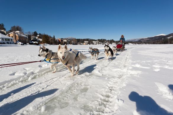 Dog sledding in Lake Placid
