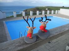 Polurrian Bay Hotel