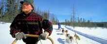 Discover the thrill of dogsledding in Ontario
