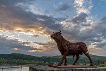 The Cowshed Boutique Hostel