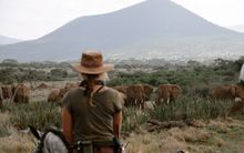 Amboseli Ride, New 2016 Tanzania collection