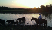 A Bar Working Ranch, Oklahoma