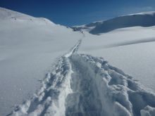 Winter Walking