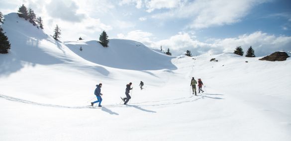 Snow Shoe Hike