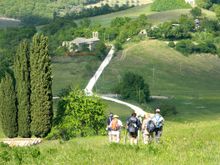Pieve di Coccorano - Camino Ways