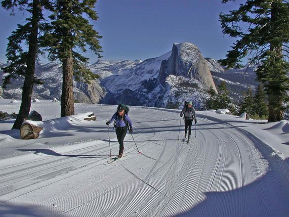 Cross Country Skiers at Glacier Point