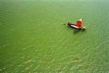 A lone boat in the Sundarbans