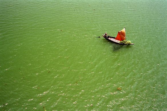 A lone boat in the Sundarbans
