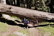 Hiking in the Great Himalayan National Park
