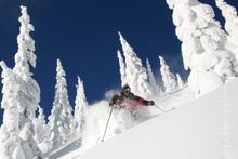 Whitefish fresh tracks 