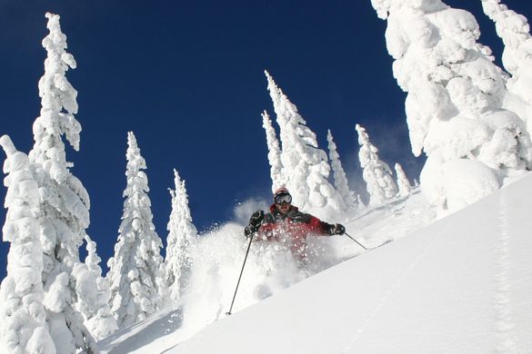 Whitefish fresh tracks 