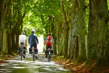 Cycling in Jersey