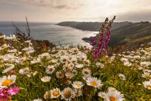 Guernsey south coast cliffs