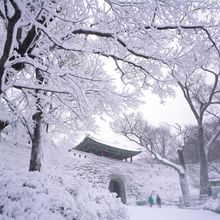 Winter Scene Korea