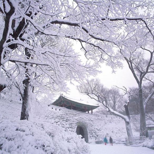 Winter Scene Korea