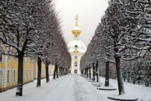 Peterhof Palace