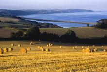 Slapton Ley Reserve
