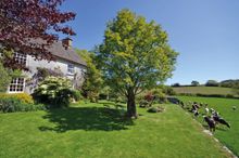 Neadon Cottage, Dartmoor
