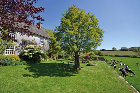 Neadon Cottage, Dartmoor