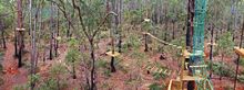 Trees Adventure's Obstacle Course at Lane Poole Reserve Dwellingup