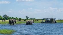 Cruising the Chobe River