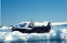 Don't Pay Extra! Save On Your Next Adventure!