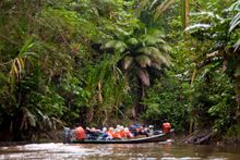 Ecuador's Amazon Jungle