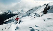 The wilds of Whistler