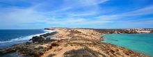 Turtle Bay 
