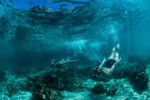 Snorkeling Dirk Hartog Island