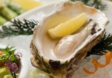 Sagano – Fresh Oyster with Vinegar Sauce