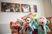 Love & Care” in the year of the monkey_soft toys