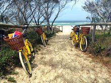 Together with friends, cruise along the coast with Gold Coast Bike Tours
