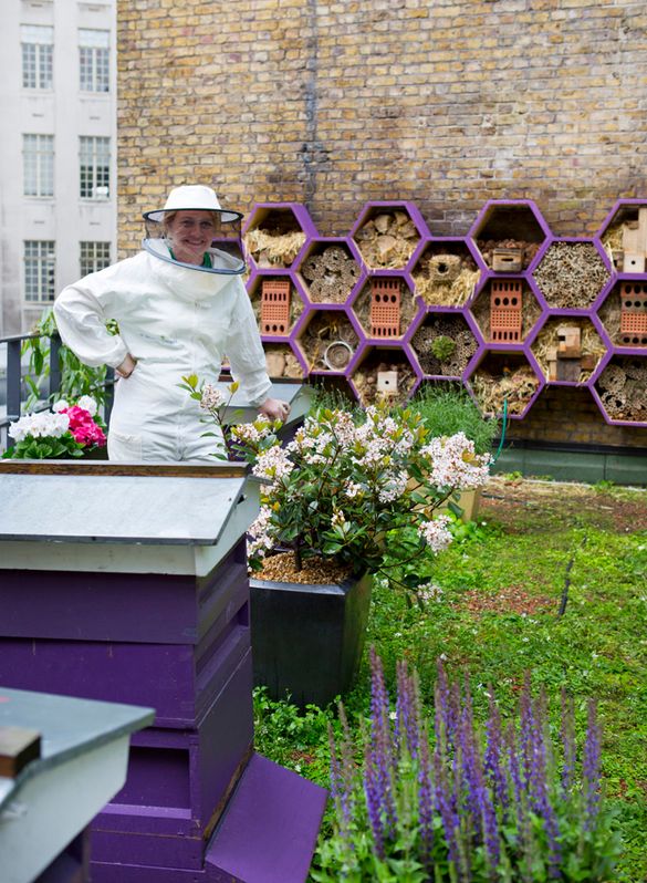 Camilla Goddard, Third Floor Terrace Hives