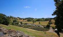 Spring Vineyard Hike