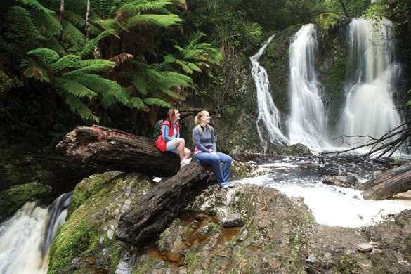 Hogarth Falls Walk - image credit Joe Shemesh