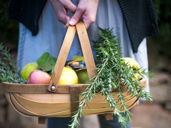 High Country Harvest autumn produce
