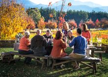 High Country Harvest autumnal feast