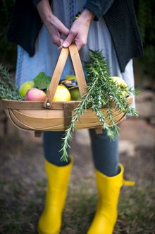 High Country Harvest autumn produce_portrait orientation