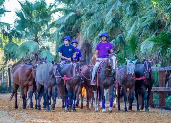 Polo Valley, Sotogrande