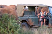 Saba Douglas-Hamilton with Samburu Elephants