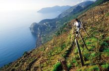 Beautiful Liguria