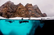 Polar Snorkelling - Exploring the Arctic from Below