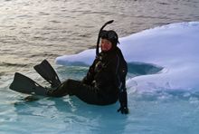 Snorkeller on the Arctic ice