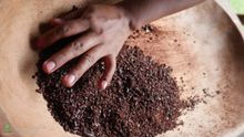 Cacao Workshop in Yorkin, Costa Rica 