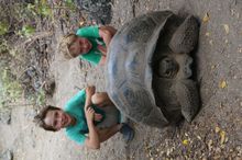 Max and Lachlan Hall encounter wild tortoises in the Galapagos Islands