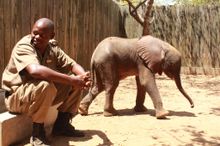 Amanzi and one of his carers in the boma