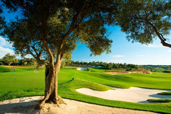 Hole 1 at Oceanico Faldo Course
