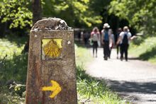 Women on the Camino de Santiago